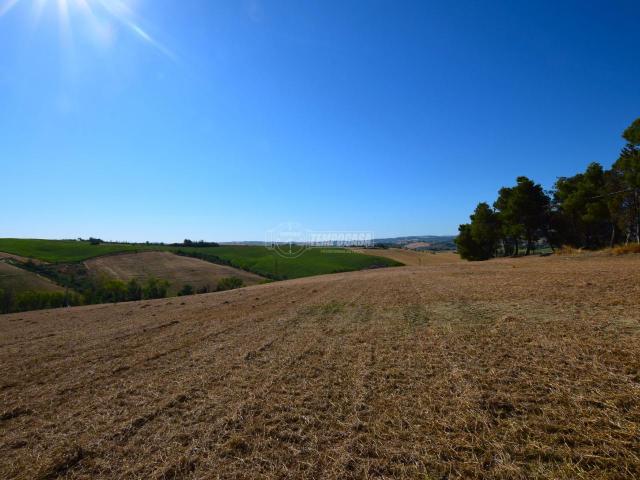 Terreno in vendita a Marche, Ancona