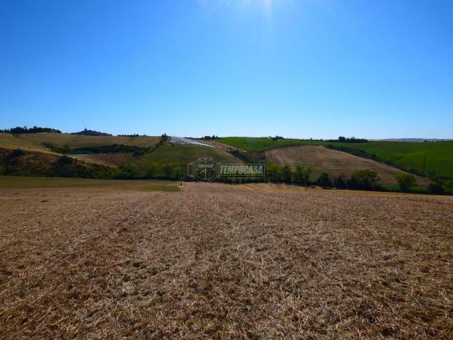 Terreno in vendita a Gambacane, Ostra Vetere