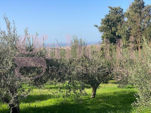 Terreno in vendita a Cannistrà, Barcellona Pozzo Di Gotto