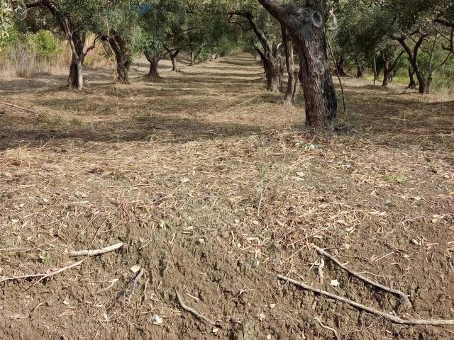 Terreno in vendita a Oreto, Barcellona Pozzo Di Gotto