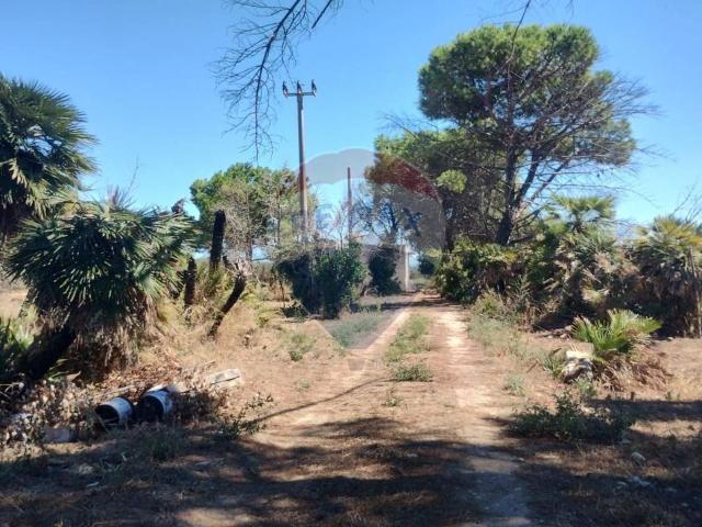 Terreno in vendita a Puglia, Barletta-andria-trani