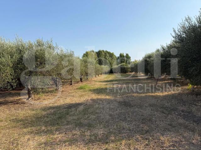 Terreno in vendita a Olevano Sul Tusciano, Campania
