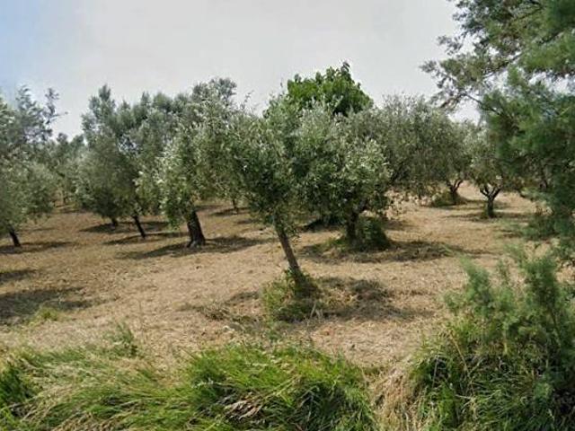 Terreno in vendita a Bellante, Abruzzo