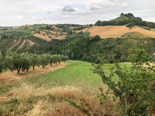 Terreno in vendita a Bellante, Abruzzo