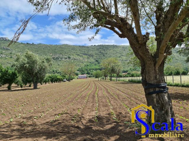 Terreno in vendita a Bellona, Campania