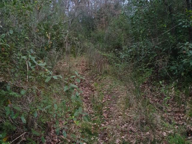 Terreno in vendita a Bellosguardo, Campania