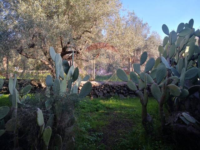 Terreno in vendita a Belpasso, Sicilia