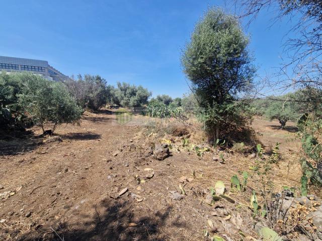 Terreno in vendita a Altarello, Belpasso