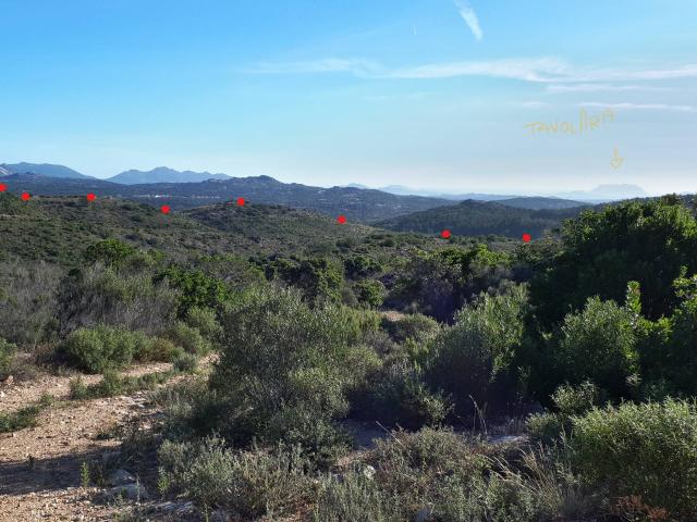 Terreno in vendita a Berchidda, Sardigna/Sardegna