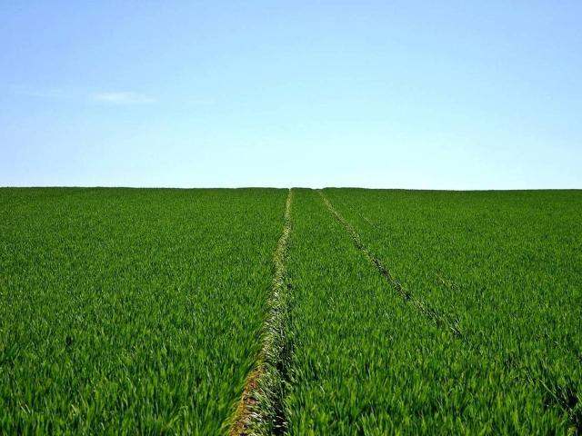 Terreno in vendita a Magnati, Bergamo