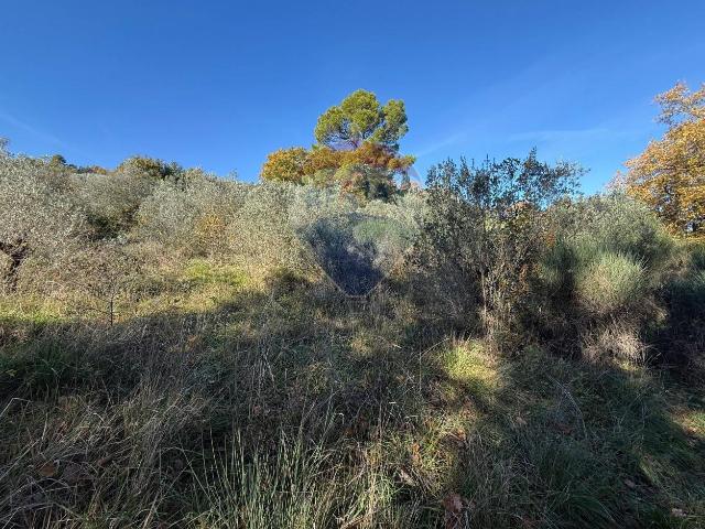 Terreno in vendita a Torre Del Colle, Bevagna