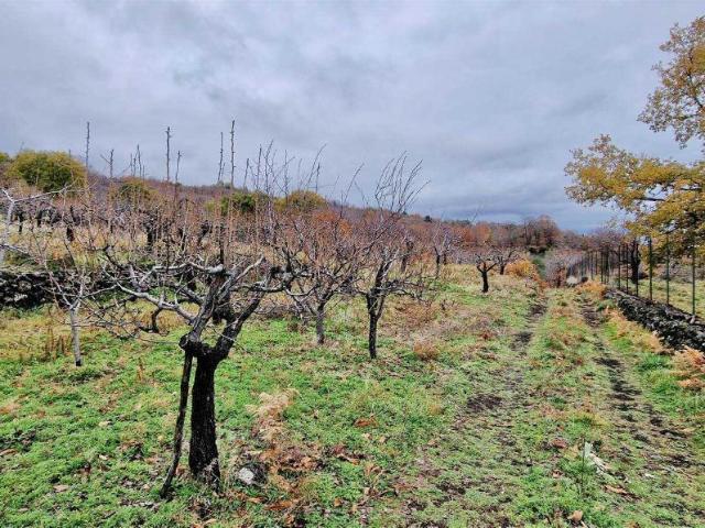 Terreno in vendita a Biancavilla, Sicilia