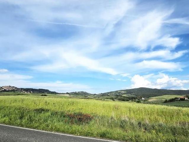 Terreno in vendita a Bibbona, Toscana