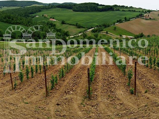 Terreno in vendita a Bibbona, Toscana