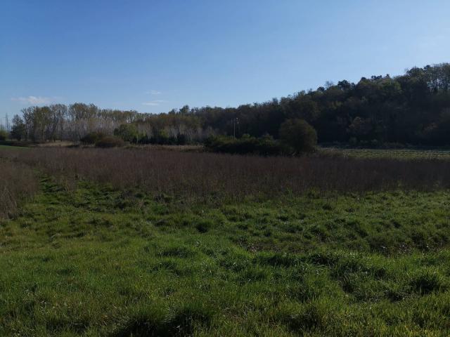 Terreno in vendita a Bientina, Toscana