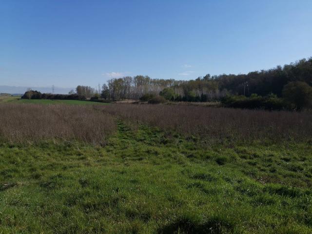 Terreno in vendita a Puntone, Bientina