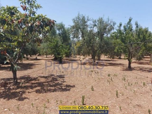 Terreno in vendita a Puglia, Barletta-andria-trani