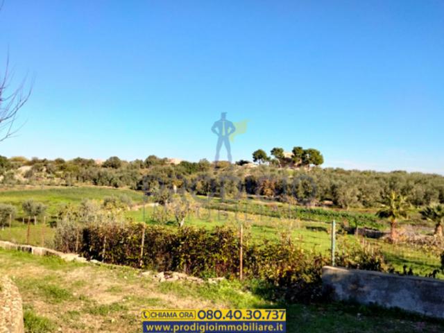 Terreno in vendita a Puglia, Barletta-andria-trani