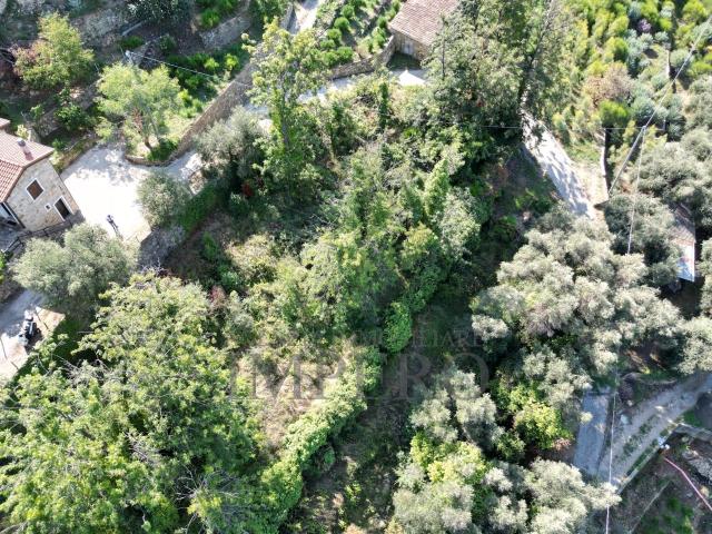 Terreno in vendita a Bordighera, Liguria