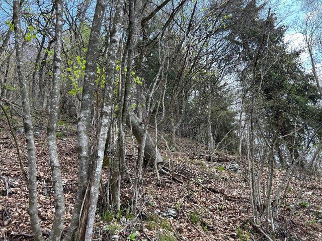 Terreno in vendita a Borgo Valbelluna, Stabie
