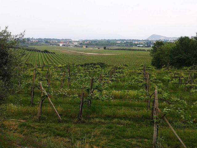 Terreno in vendita a Borgo Valbelluna, Campedei