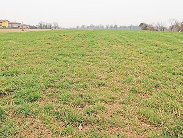Terreno in vendita a Brembate, Lombardia