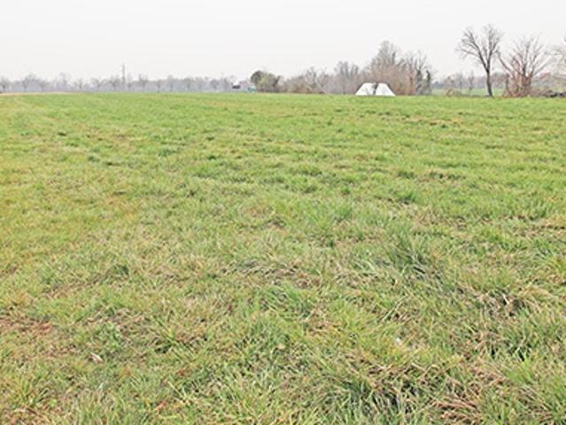 Terreno in vendita a Brembate, Lombardia