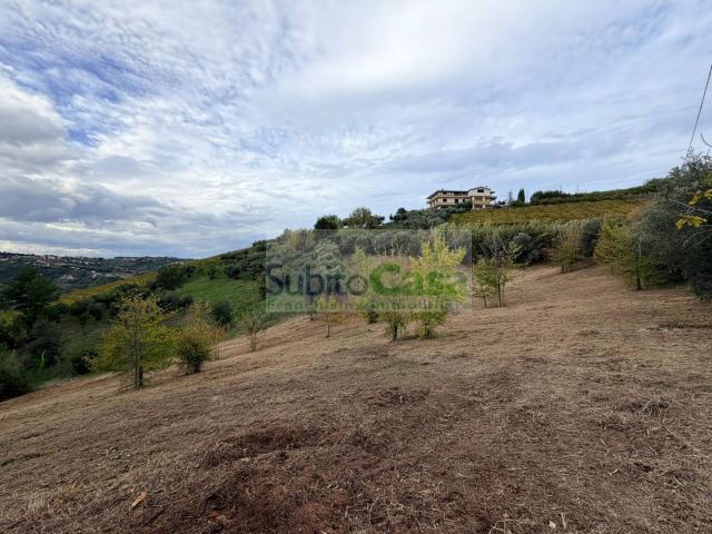 Terreno in vendita a Bucchianico, Abruzzo