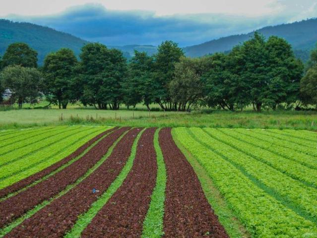 Terreno in vendita a Busnago, Lombardia