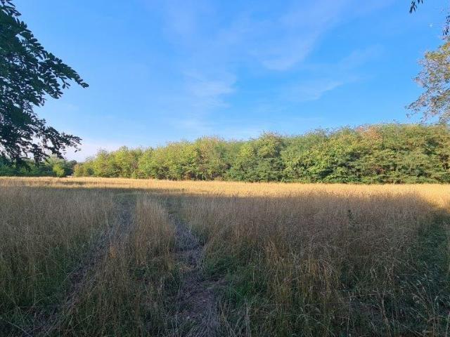 Terreno in vendita a San Giovanni, Busto Arsizio