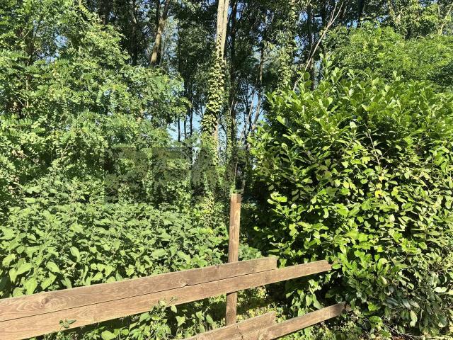Terreno in vendita a Busto Arsizio, Lombardia