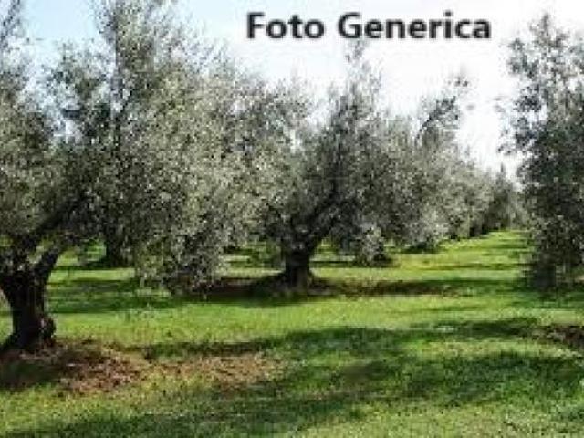 Terreno in vendita a Buti, Toscana
