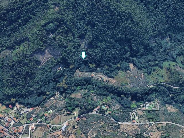 Terreno in vendita a Capannori, Lucca