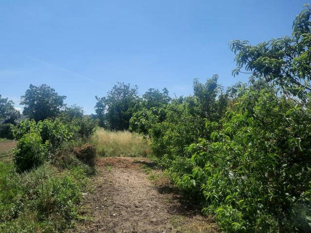 Terreno in vendita a Caivano, Campania