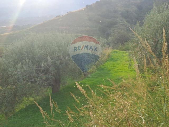 Terreno in vendita a Calatabiano, Sicilia