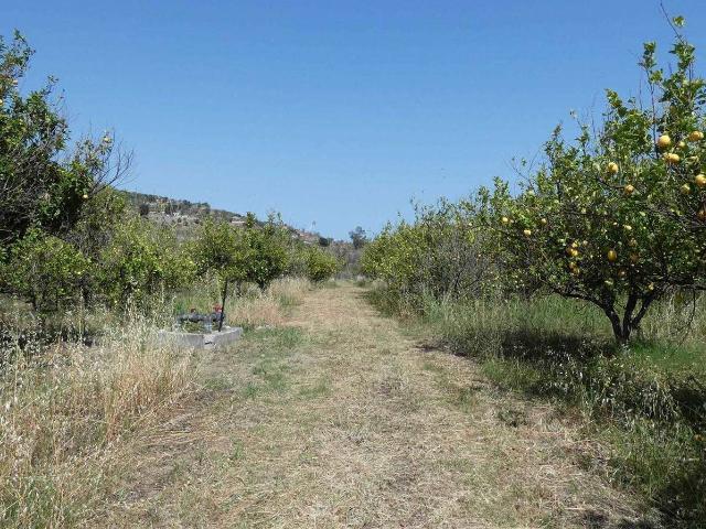 Terreno in vendita a Calatabiano, Sicilia