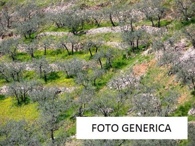 Terreno in vendita a Calci, Toscana