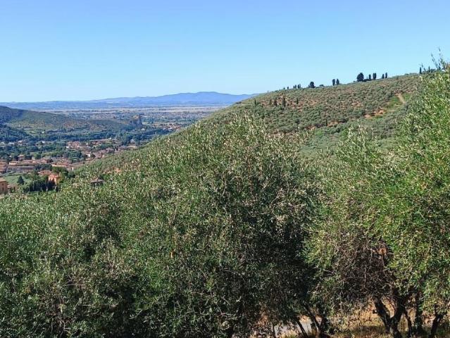 Terreno in vendita a Calci, Toscana