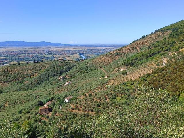 Terreno in vendita a Calci, Toscana
