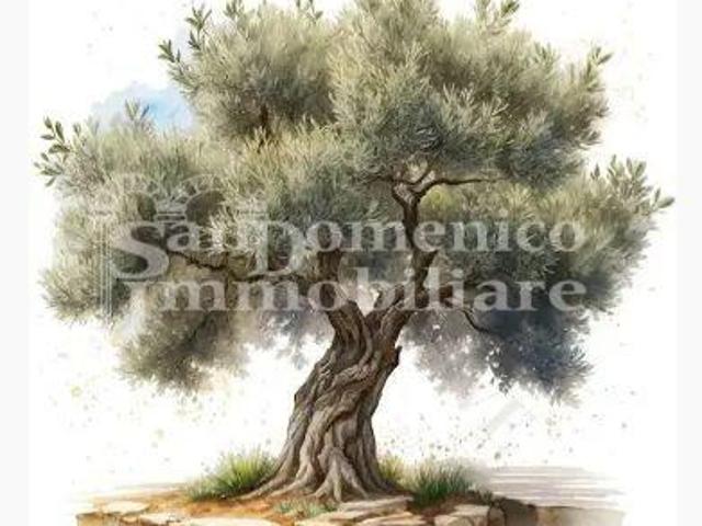 Terreno in vendita a Calci, Toscana