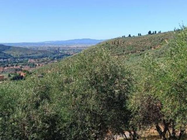 Terreno in vendita a Calci, Toscana