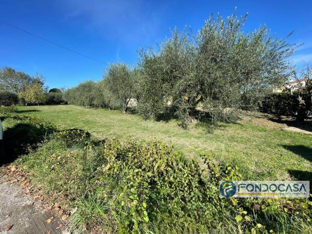 Terreno in vendita a Calcinaia, Toscana