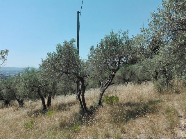 Terreno in vendita a Calenzano, Toscana