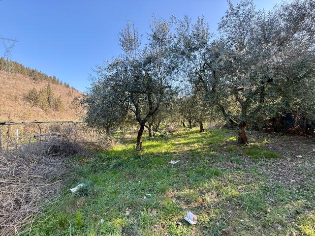 Terreno in vendita a Calenzano, Firenze
