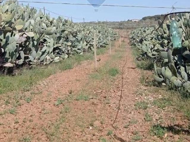 Terreno in vendita a Canalotto, Caltagirone
