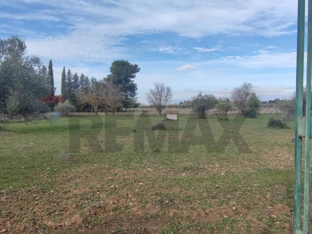 Terreno in vendita a Caltagirone, Sicilia