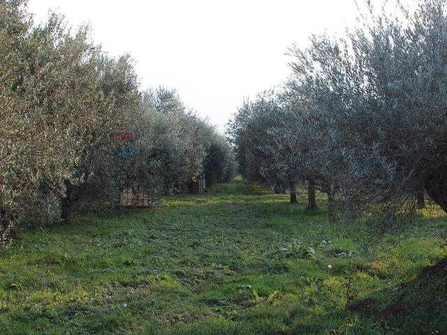 Terreno in vendita a Calusco D'adda, Lombardia