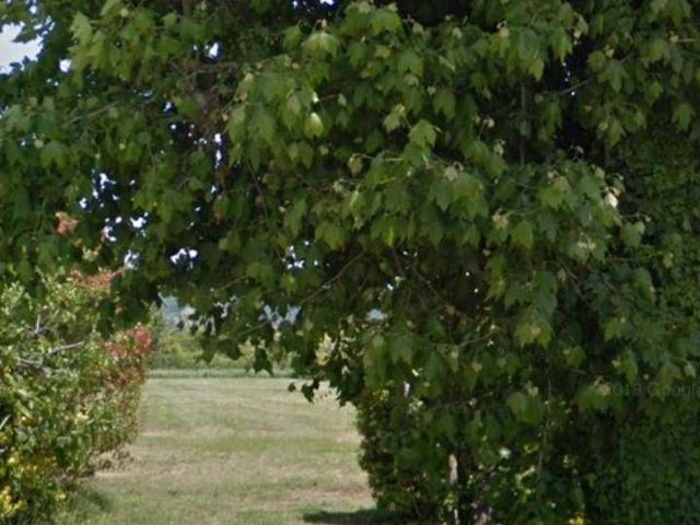 Terreno in vendita a Camaiore, Toscana