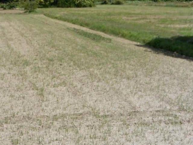 Terreno in vendita a Camaiore, Toscana