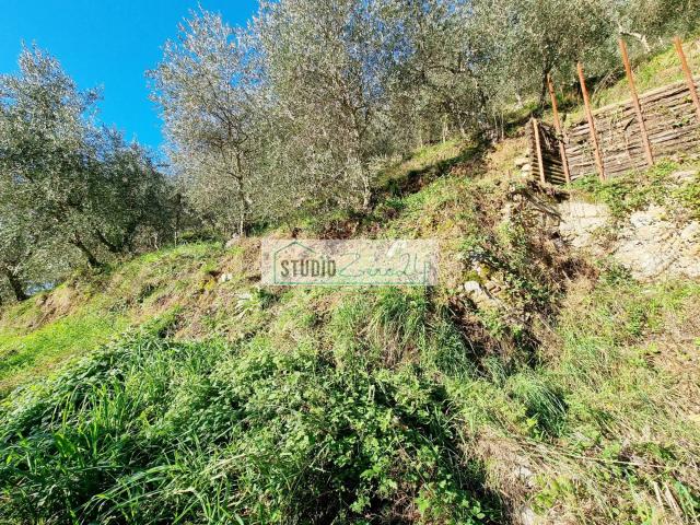 Terreno in vendita a Camaiore, Toscana